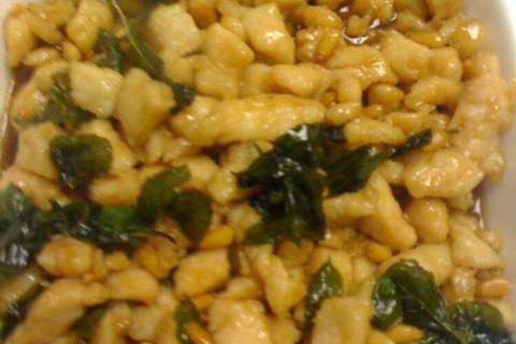 Sunny Garden Folsom Sacramento